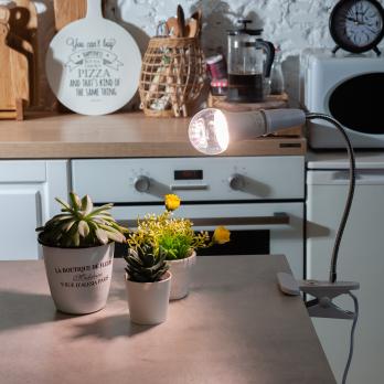 LED-A60-10W-SPFR-E27-CL PLP01WH Лампа светодиодная для растений. Форма A. прозрачная колба. Картон. ТМ Uniel