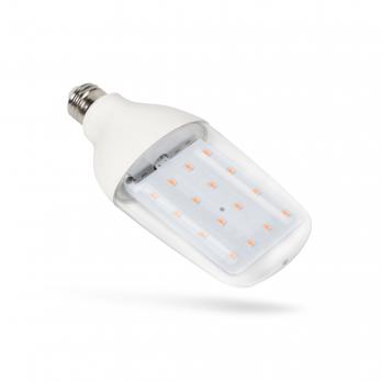LED-B82-12W-SPBR-E27-CL PLP33WH Лампа светодиодная для растений. Форма DOUBLESIDE. прозрачная. Спектр для рассады и досвечивания в период роста. Картон. ТМ Uniel
