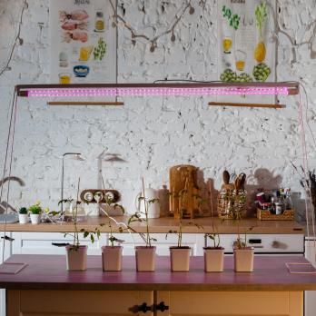 LED-T8-18W-SPSB-G13-CL PLP30WH Лампа светодиодная для растений. Форма T8. прозрачная. Спектр для рассады и цветения. ТМ Uniel.