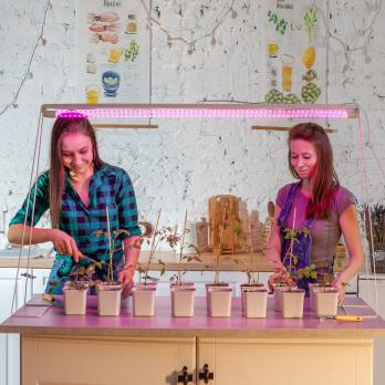 LED-T8-18W-SPSB-G13-CL PLP30WH Лампа светодиодная для растений. Форма T8. прозрачная. Спектр для рассады и цветения. ТМ Uniel.